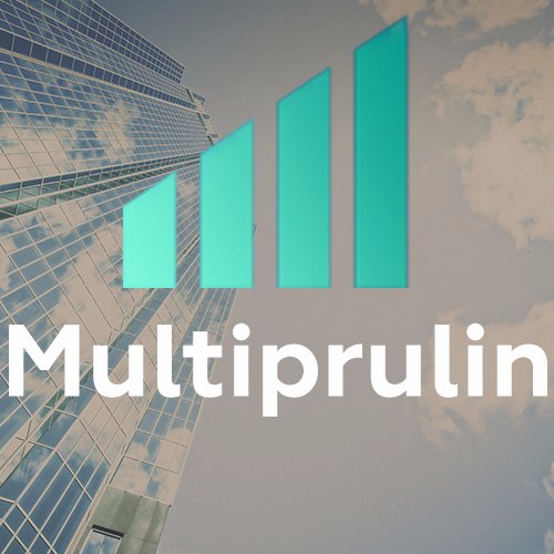 multiprulintg's profile picture. MultiprulinTG специализируется на торговой аналитике акциями и ETP на американских рынках #NYSE, #NASDAQ и #AMEX #investing #trading #parners #Assetmanagement