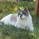 Nancy Bernardi - @SoCalNancyB - Twitter