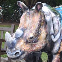 Dino Rhino (@devondinorhino) 's Twitter Profile