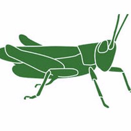GrasshopperCMS's profile picture. Grasshopper is an Open Source CMS. A Node.js framework to drastically speed up development for distributed systems. 
#CMS #opensource