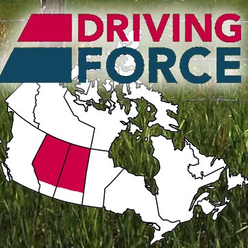 Welcome to the Northern Region of DRIVING FORCE, a national vehicle rentals, sales and leasing company.