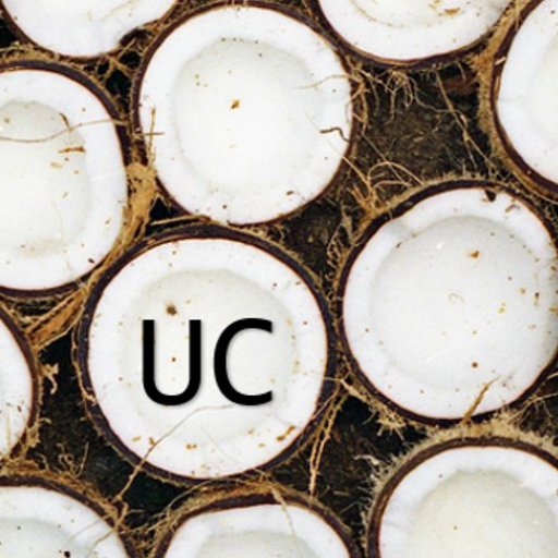 Unrefinedcoco is a variety of simple yet exquisite plant-based recipes infusing unique ingredients and different cooking techniques.