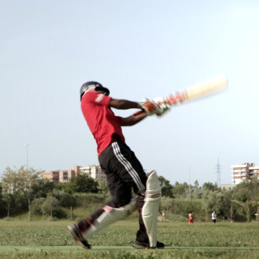 tincdoc's profile picture. This is the story of the most remarkable cricket team in the world. Closed down once by racism. Its two teenage leaders are now rebuilding the team