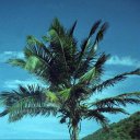 Frank Levan - @franklevanmusic - Twitter