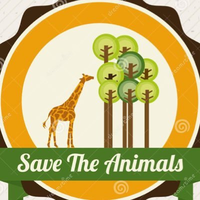 helpanimals9267's profile picture. 