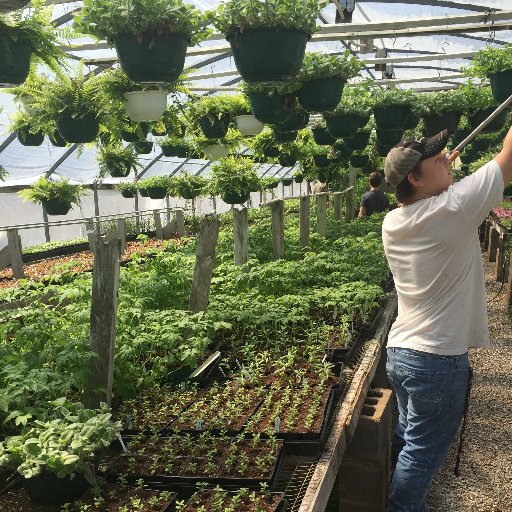 Buckhorn High School Agriscience/FFA Program