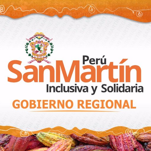 Organización orientada a prestar servicios públicos, impulsando el desarrollo armónico, sostenido y sustentable de la Región San Martín