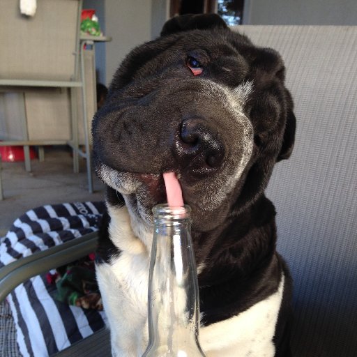 TSanders1079's profile picture. 