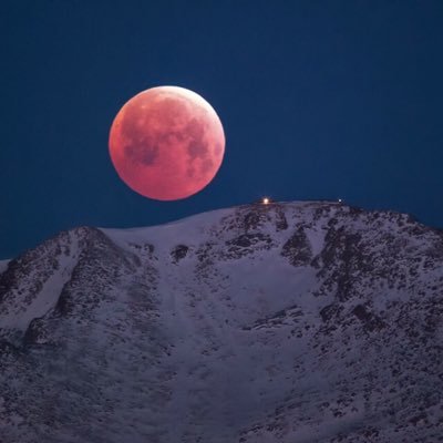 captvikramyadav's profile picture. 