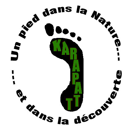 KARAPATT's profile picture. Decouvrez la guadeloupe ou le volcan de la soufrières avec un professionnel. http://t.co/ZhWHemgmml