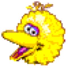 BigBirdNitemare's profile picture. 
