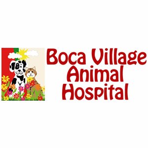 At Boca Village Animal Hospital, your pet is our number one priority. When you need a veterinarian in Boca Raton, you can trust our team to be there for you.