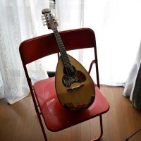 A.ADACHI (@adtt_ats) 's Twitter Profile