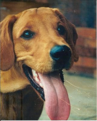 tinecheverri's profile picture. 