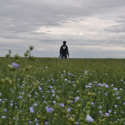 4th Gen. Family Farmer. UofS: BSc, MSc, PAg. Director of Palliser Triangle Research Inc. “Do your work, and prepare for rain”