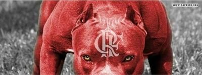 Vamos ser Campeão Vamos Flamengo!!