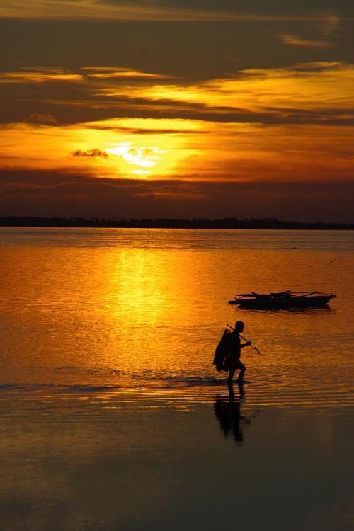 pancyoi's profile picture. 仕事と趣味の境目が曖昧になってきた今日この頃。