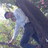 sandeepbgh's profile image