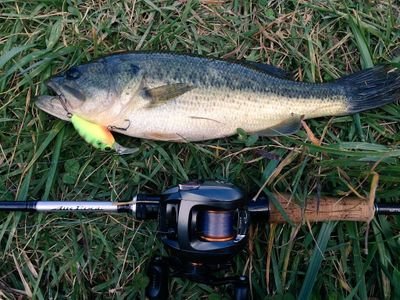 ルアー 磯 渓流 船 などありとあらゆる場所と釣り方で釣りを楽しんでます