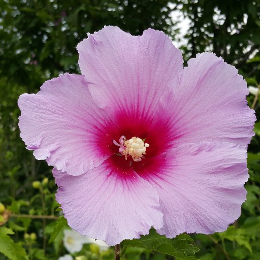 7989naver's profile picture. 흔들리지 않는 믿음의 소유자