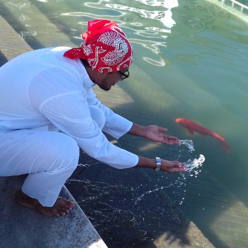 aeroraja's profile picture. Pet lover