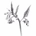 Phytology (@phytologylondon) Twitter profile photo Phytology (@phytologylondon) Twitter profile photo