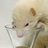 Dagrous's profile image