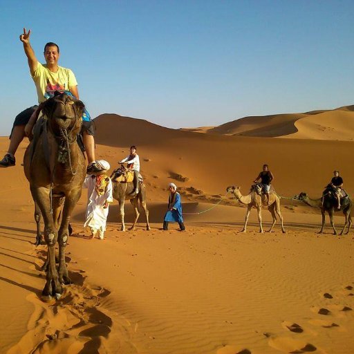 MOROCCO TOURS is a transport Company, which offers a high level quality of Mercedes Van, 4x4 vehicle, Minibus, and bus for tourists and local travelers