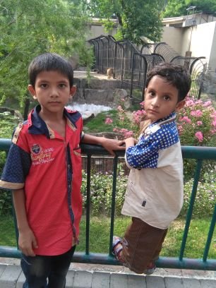 ZeeshanEmbriod1's profile picture. 