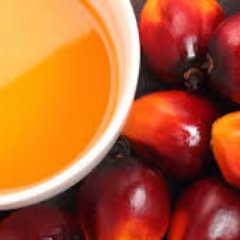 martsquare's profile picture. 