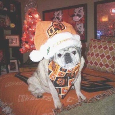 MarkHays2's profile picture. 