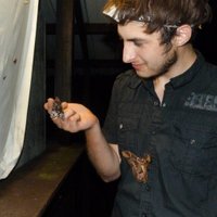 Hellemans Simon (@hellemanssimon) 's Twitter Profile