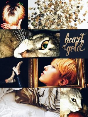 LxxGabriel's profile picture. 