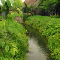 JoniVa Senior Home (@jonivaseniorhom) Twitter profile photo