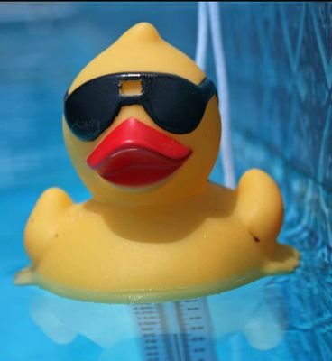 DuckedRubb3r's profile picture. Just a ducky feeling lucky