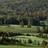 golfsussex's profile image