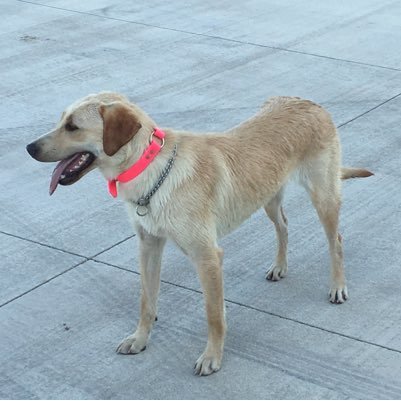 pteget's profile picture. 