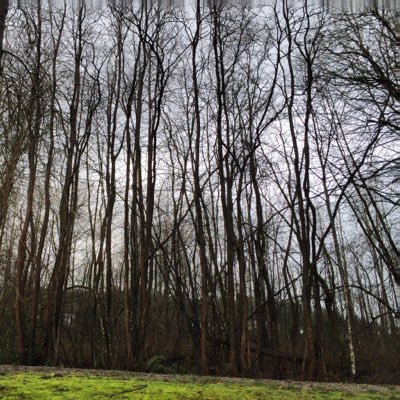 yvr_doctor's profile picture. 