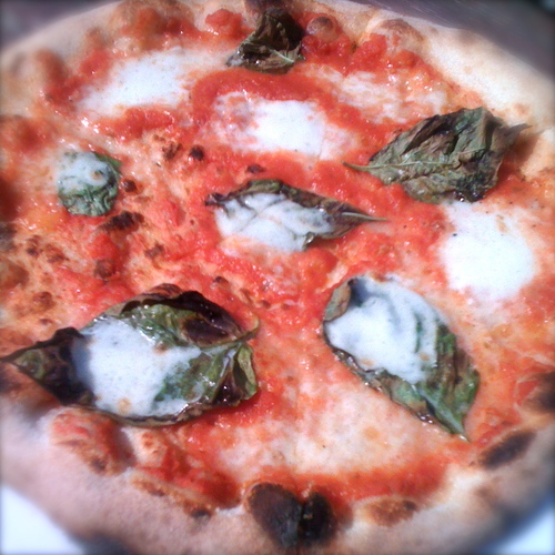 DistrictDine's profile picture. Eating our way through DC until we explode... or get diabetes.