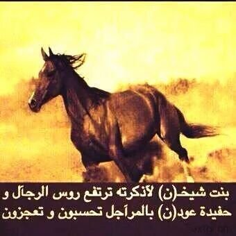 نوره بنت ابوي Ci0990ci Twitter