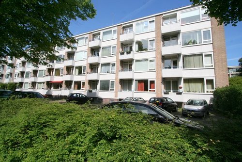 tekoop_rijswijk's profile picture. 