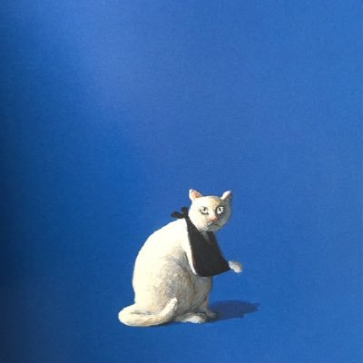 しらすさんのプロフィール画像