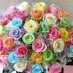 krishuu3331's profile picture. 