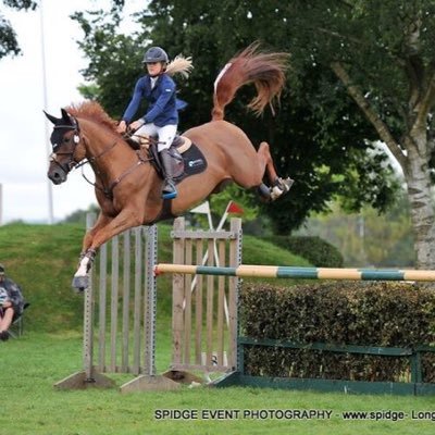 Breeding and sales of elite show jumping foals, young stock and competition horses. monksstud@gmail.com