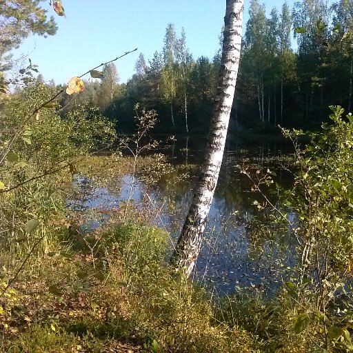 Deniss71Deniss's profile picture. 