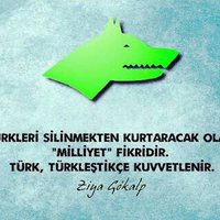 Ali Kaya (@devletcikaya) 's Twitter Profile