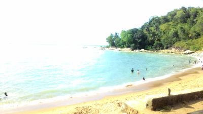 Alexandrejhz's profile picture. 