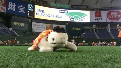 とーきさんのプロフィール画像