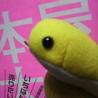 とみた (@tomittel) 's Twitter Profile