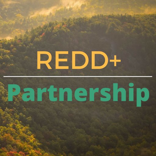 Official account of REDD+ Project in Indonesia| #REDD #dibawah2
